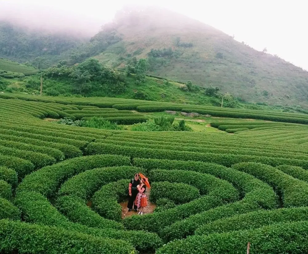 Gợi &yacute; lịch tr&igrave;nh 2 ng&agrave;y trốn nh&agrave; đi Mộc Ch&acirc;u vừa tiết kiệm vừa vui 5