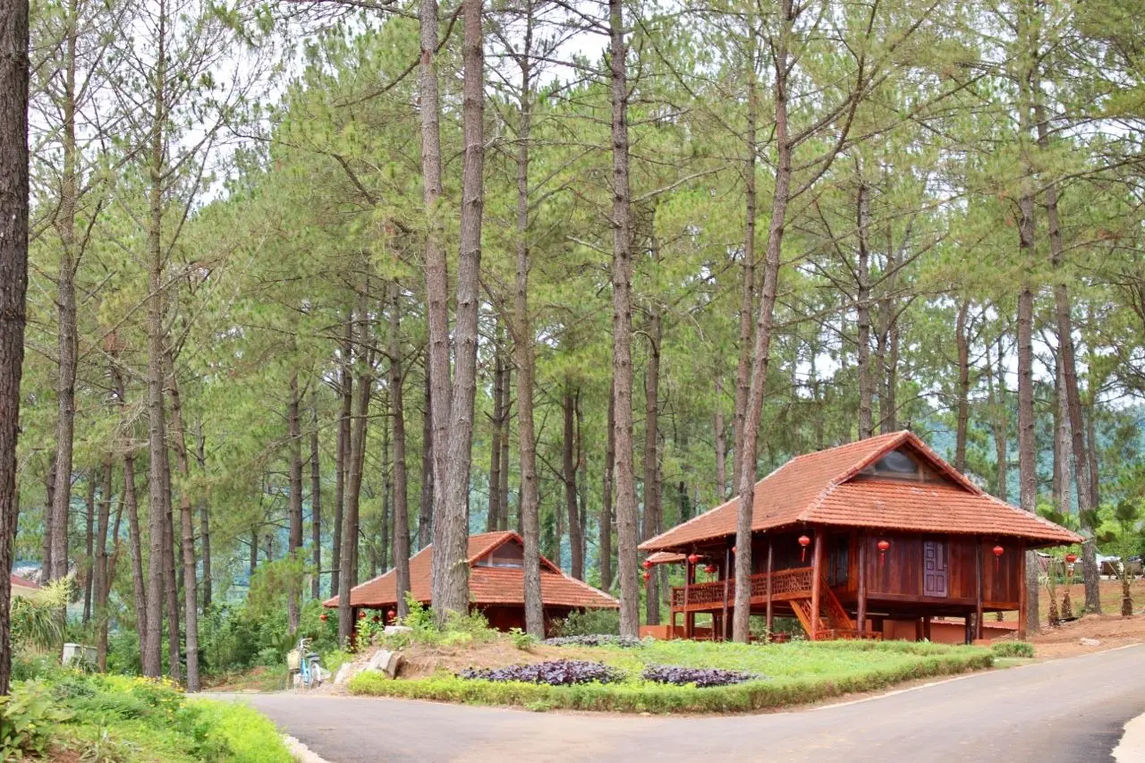 Gợi &yacute; lịch tr&igrave;nh 2 ng&agrave;y trốn nh&agrave; đi Mộc Ch&acirc;u vừa tiết kiệm vừa vui 6