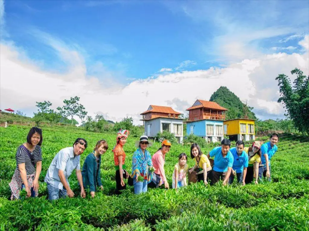Gợi ý lịch trình hái mận Mộc Châu 3N2Đ trọn vẹn và chi tiết nhất 6