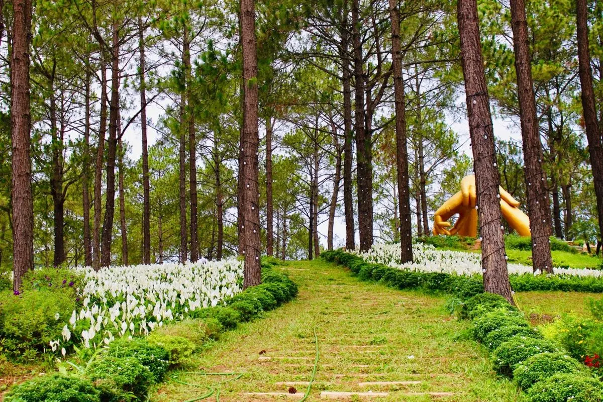 Gợi &yacute; lịch tr&igrave;nh Mộc Ch&acirc;u 2N1Đ chi tiết d&agrave;nh cho hội bạn 4