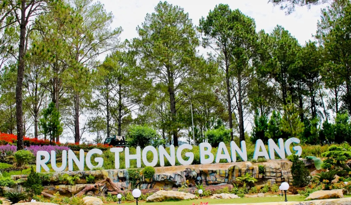 Gợi ý lịch trình Mộc Châu 2N1Đ chi tiết từ A đến Z dành cho bạn 6