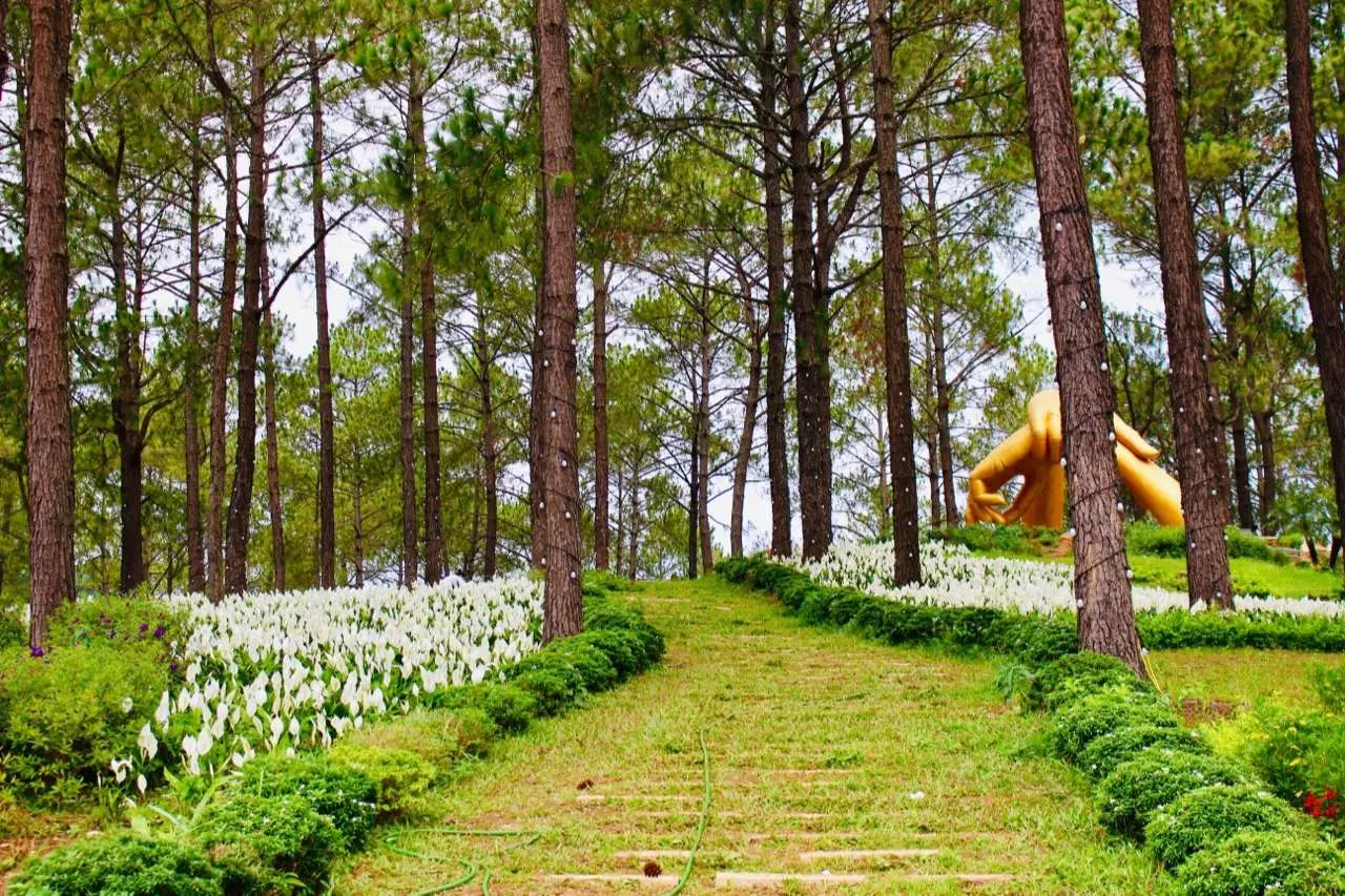 Gợi &yacute; lịch tr&igrave;nh Mộc Ch&acirc;u 2N2Đ tự t&uacute;c với những điểm đến hấp dẫn 10