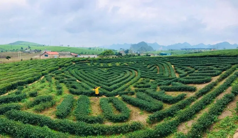 Gợi &yacute; lịch tr&igrave;nh Mu N&aacute;u - Phi&ecirc;n C&agrave;nh 2 ng&agrave;y tự t&uacute;c cho team m&ecirc; Mộc Ch&acirc;u 9