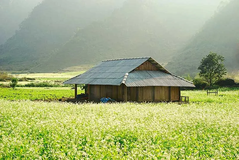 H&agrave;nh tr&igrave;nh kh&aacute;m ph&aacute; Mộc Ch&acirc;u 3N2Đ với h&agrave;ng loạt trải nghiệm th&uacute; vị 5