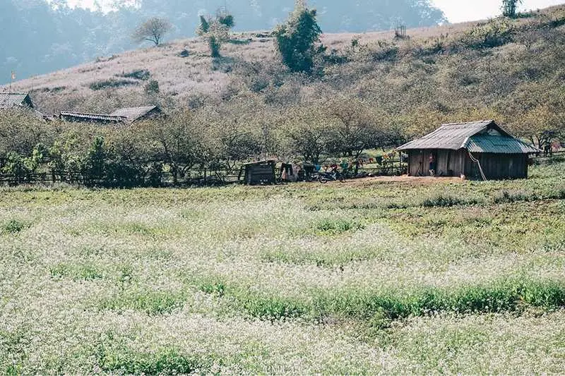 H&agrave;nh tr&igrave;nh kh&aacute;m ph&aacute; Mộc Ch&acirc;u 3N2Đ với h&agrave;ng loạt trải nghiệm th&uacute; vị 2