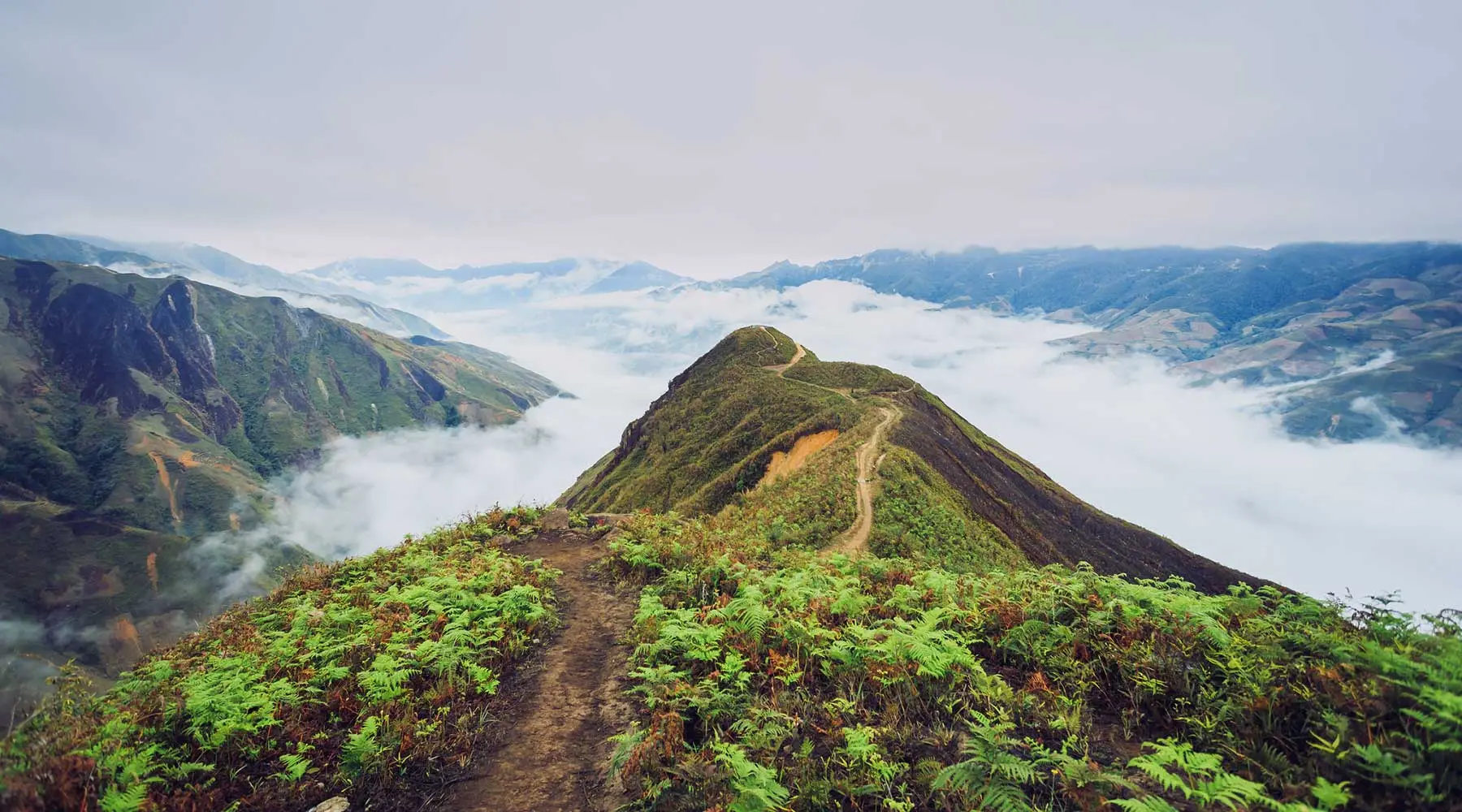 Gợi ý lịch trình trekking Mộc Châu – Trạm săn mây đẹp mê ly