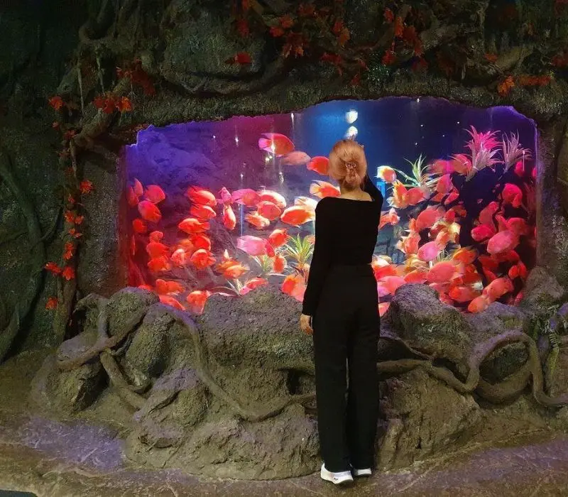 6 trải nghiệm th&uacute; vị tại Vinpearl Land Nha Trang bạn kh&ocirc;ng n&ecirc;n bỏ lỡ 5