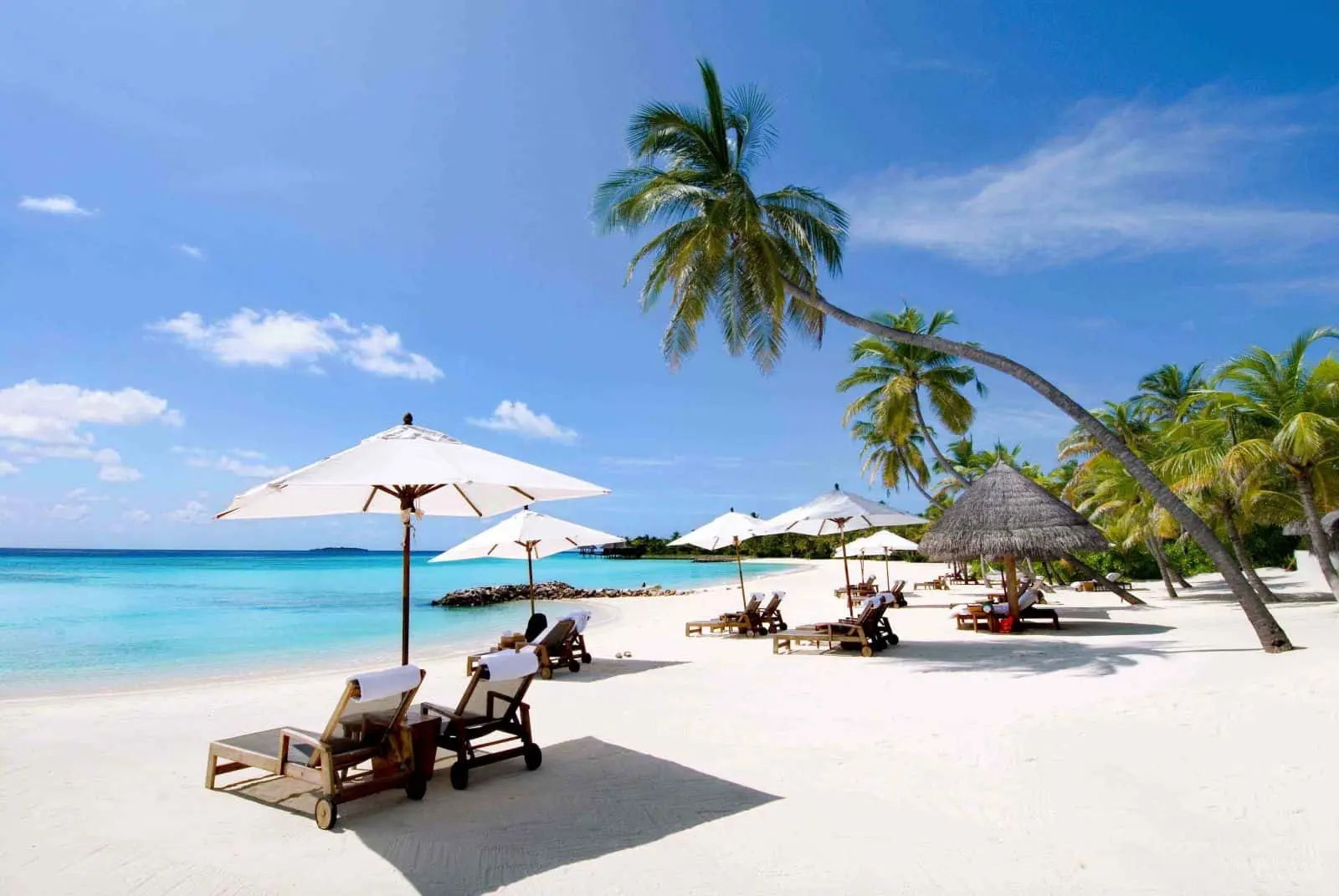 B&atilde;i D&agrave;i Nha Trang - C&oacute; một thi&ecirc;n đường b&igrave;nh dị nơi hạ giới với biển xanh c&aacute;t trắng quanh năm s&oacute;ng x&ocirc; bờ 5