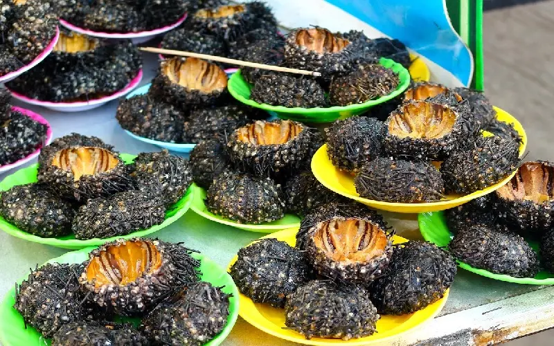 Đảo Dừa Nha Trang c&oacute; g&igrave;? Trải nghiệm du lịch đầy cuốn h&uacute;t 8
