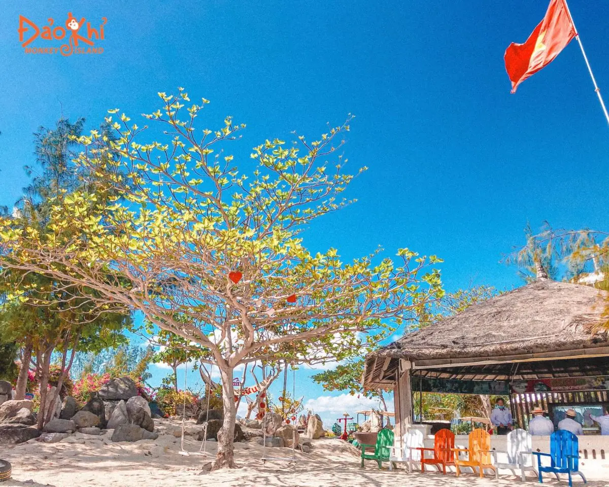 Đảo Khỉ Nha Trang - Vương quốc của hơn 1500 ch&uacute; khỉ 3