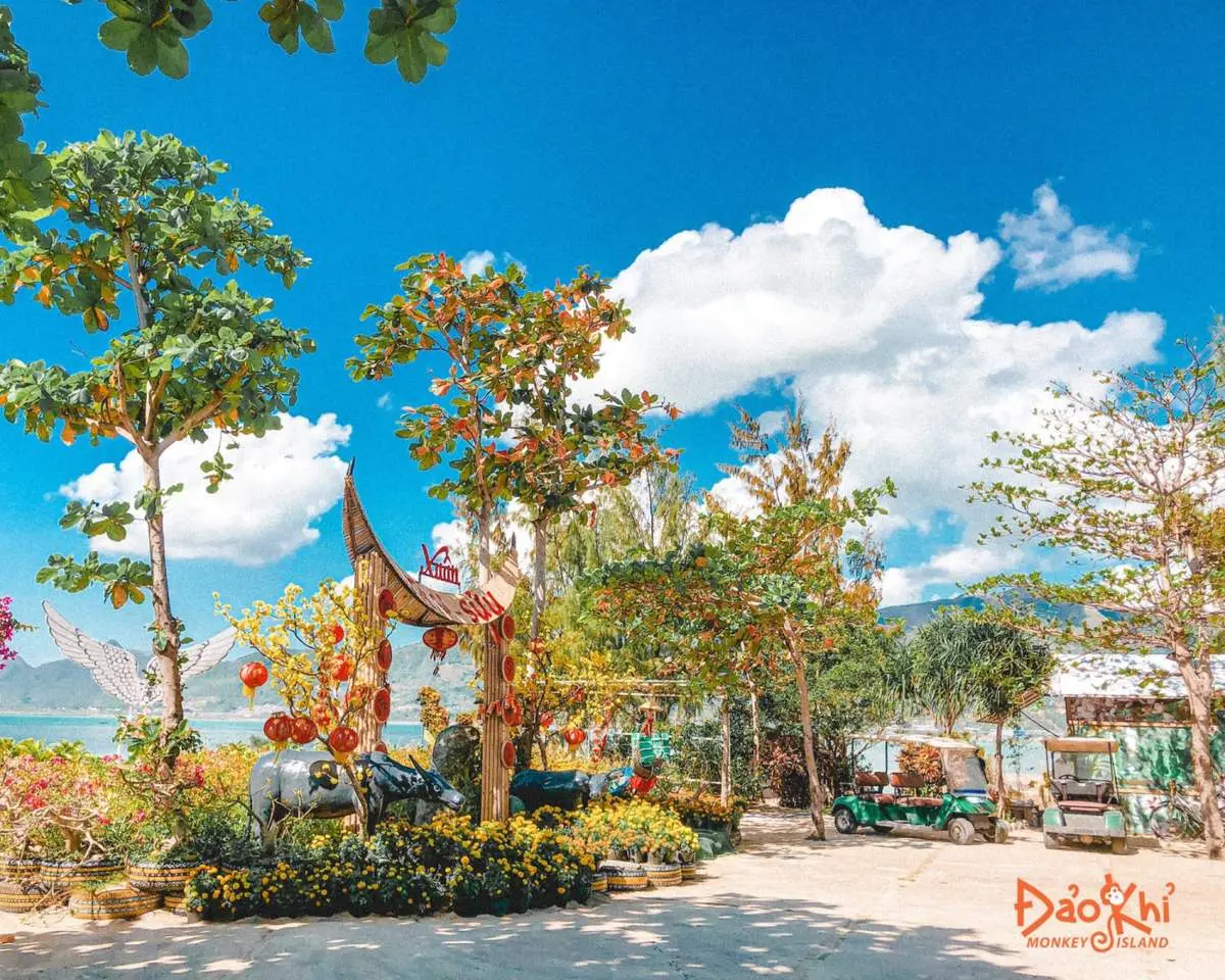 Đảo Khỉ Nha Trang - Vương quốc của hơn 1500 ch&uacute; khỉ 2
