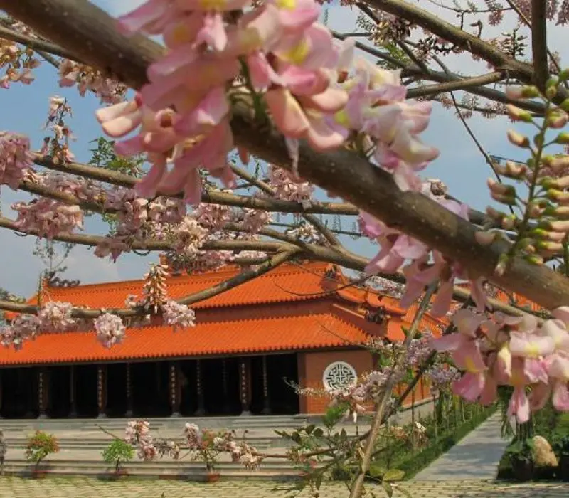Điểm qua top 12 ch&ugrave;a ở Nha Trang đẹp v&agrave; linh thi&ecirc;ng nhất 4