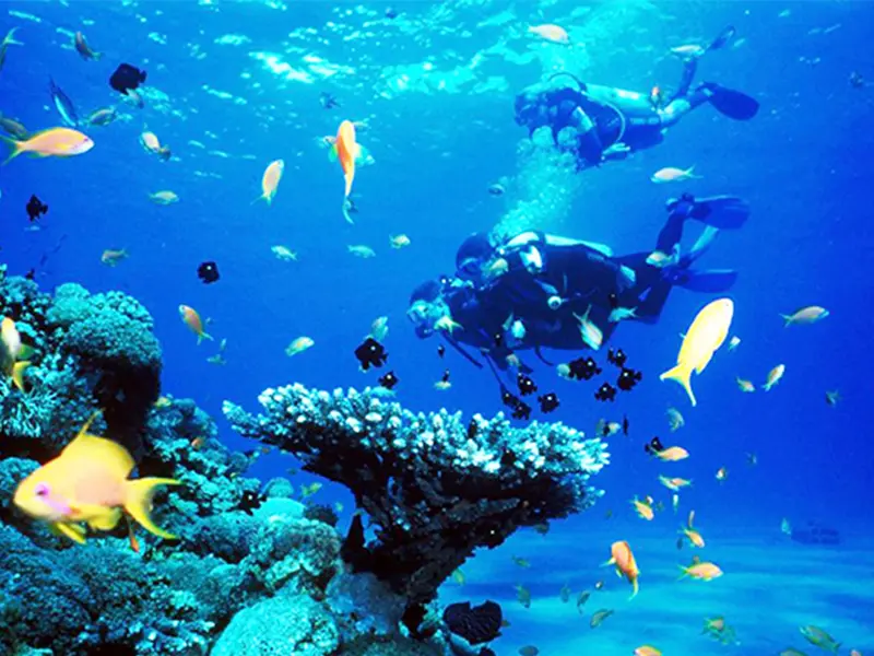 H&ograve;n Sầm Nha Trang - Kh&aacute;m ph&aacute; vi&ecirc;n ngọc xanh ẩn giấu giữa vịnh Nha Phu 15