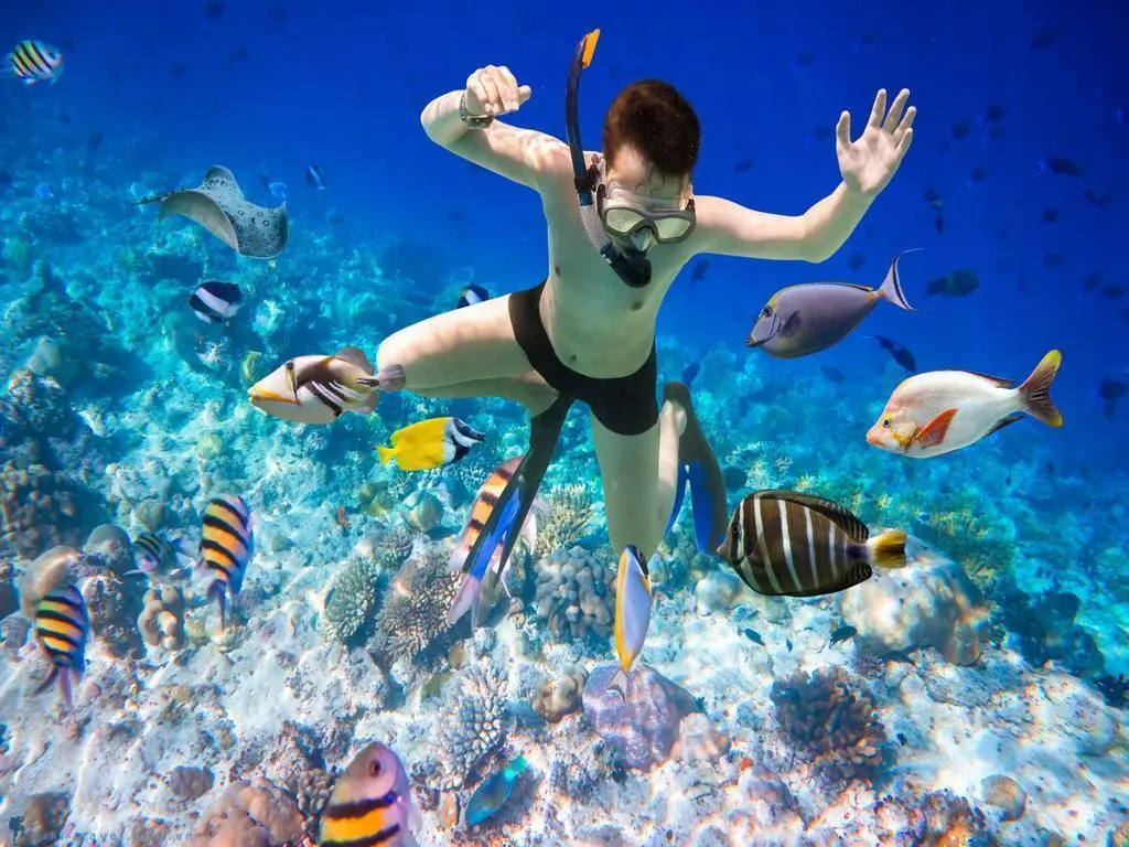 Trải nghiệm từ A-Z c&aacute;c hoạt động du lịch biển hot ở Nha Trang 3
