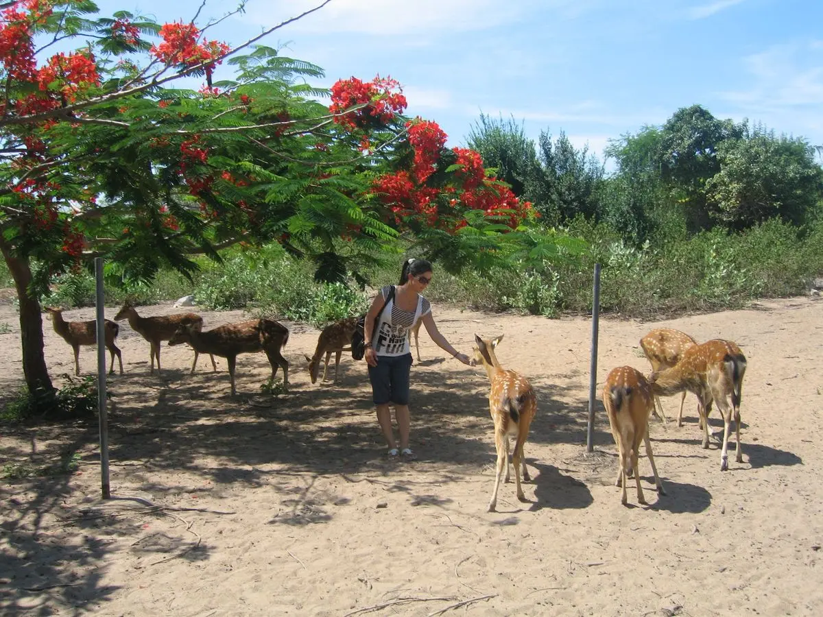 Về đảo Hoa Lan Nha Trang v&agrave; ch&igrave;m đắm trong cảnh sắc thi&ecirc;n nhi&ecirc;n tuyệt vời 8
