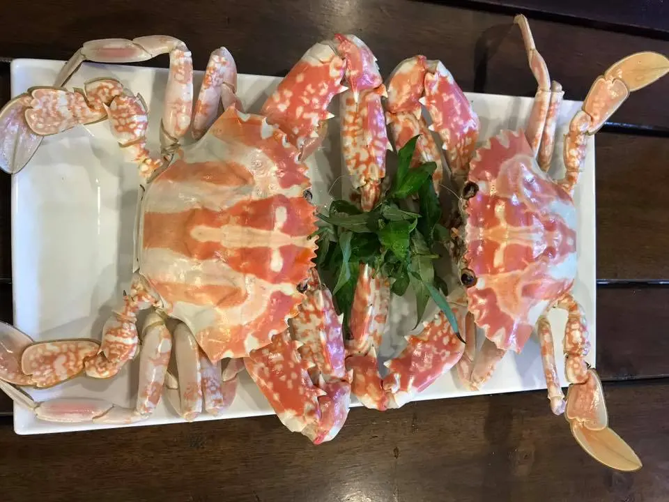 Nh&agrave; H&agrave;ng C&aacute;nh Buồm Đại Dương - Thường thức hải sản tươi sống trong kh&ocirc;ng gian rộng r&atilde;i 24