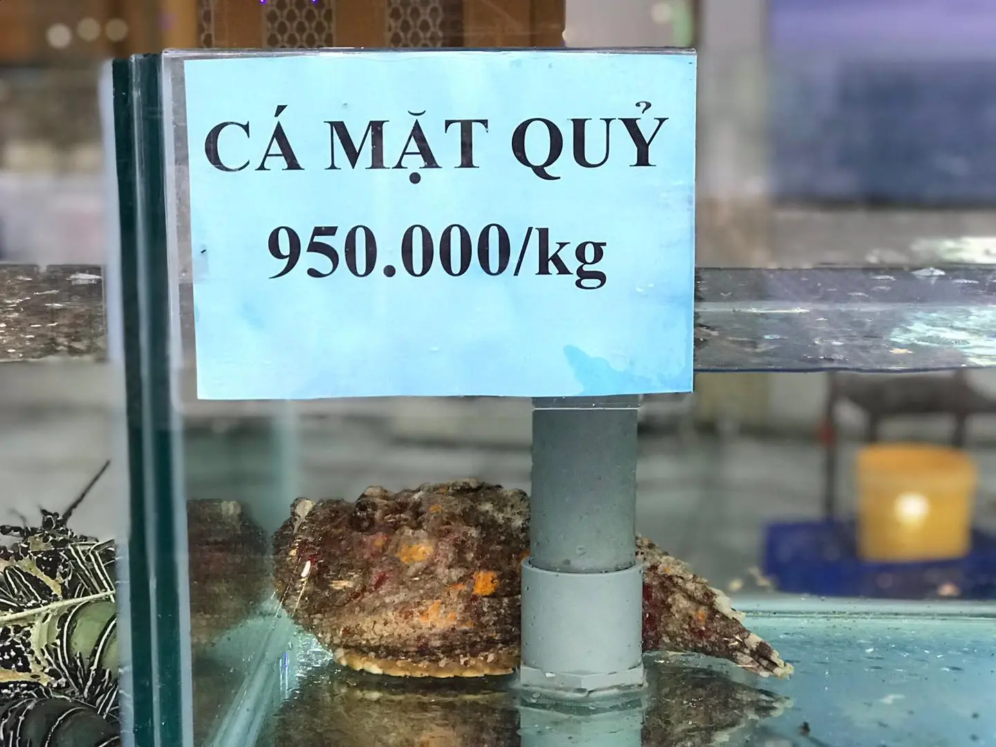 Nh&agrave; H&agrave;ng C&aacute;nh Buồm Đại Dương - Thường thức hải sản tươi sống trong kh&ocirc;ng gian rộng r&atilde;i 27