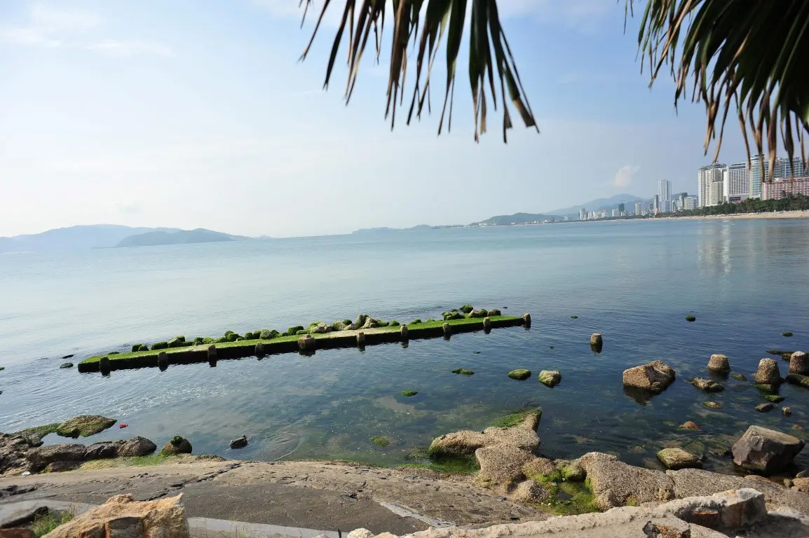 Nha Trang View Restaurant - Nh&agrave; h&agrave;ng được đ&aacute;nh gi&aacute; cao với chứng chỉ phục vụ xuất sắc 2017 39