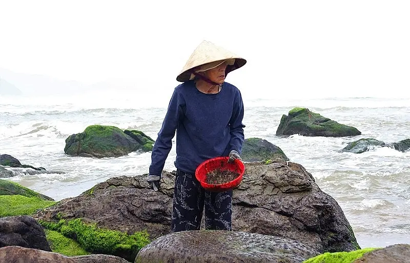 Rong biển sấy kh&ocirc; - Si&ecirc;u thực phẩm vừa đẹp da lại tốt cho sức khỏe 2