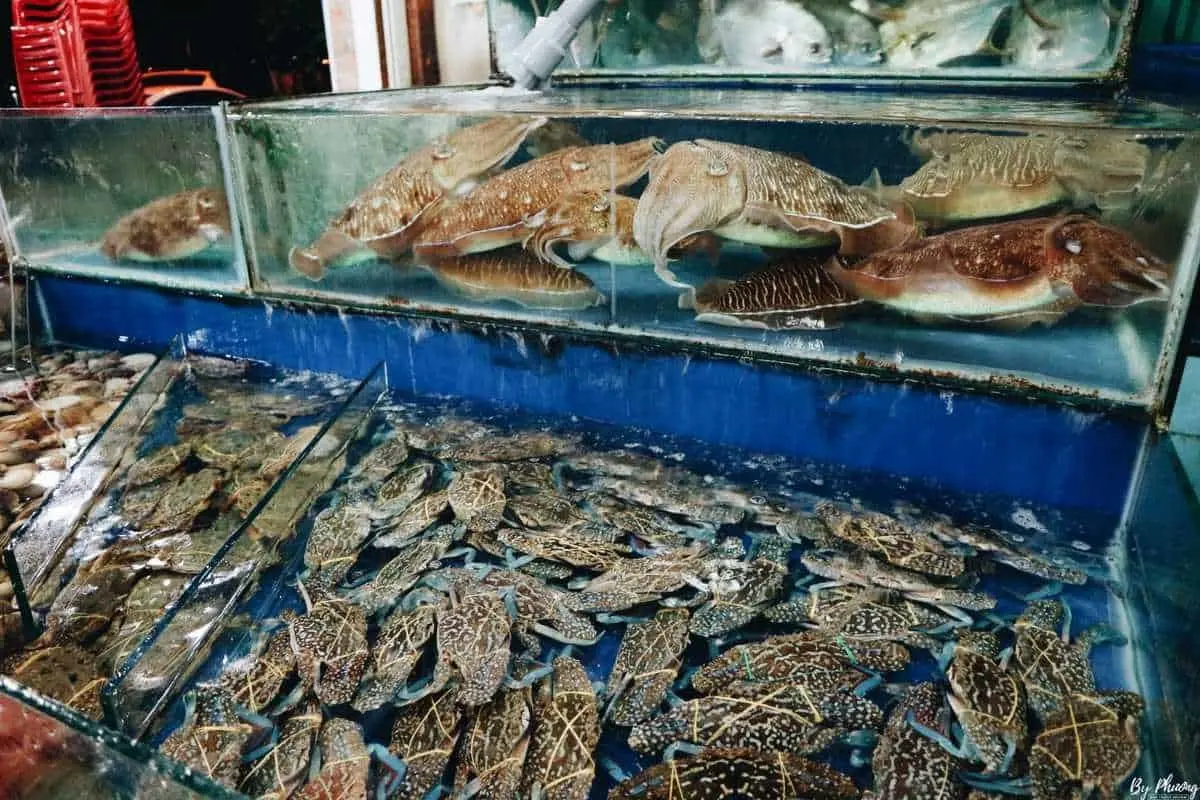 Săn ngay 10 qu&aacute;n hải sản Bờ K&egrave; Nha Trang ngon nức tiếng 3