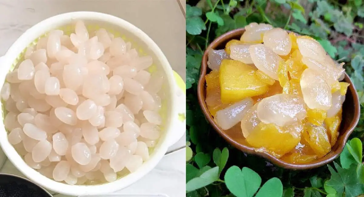 Thưởng thức hạt đ&aacute;c Nha Trang - M&oacute;n đặc sản độc đ&aacute;o của th&agrave;nh phố biển 5