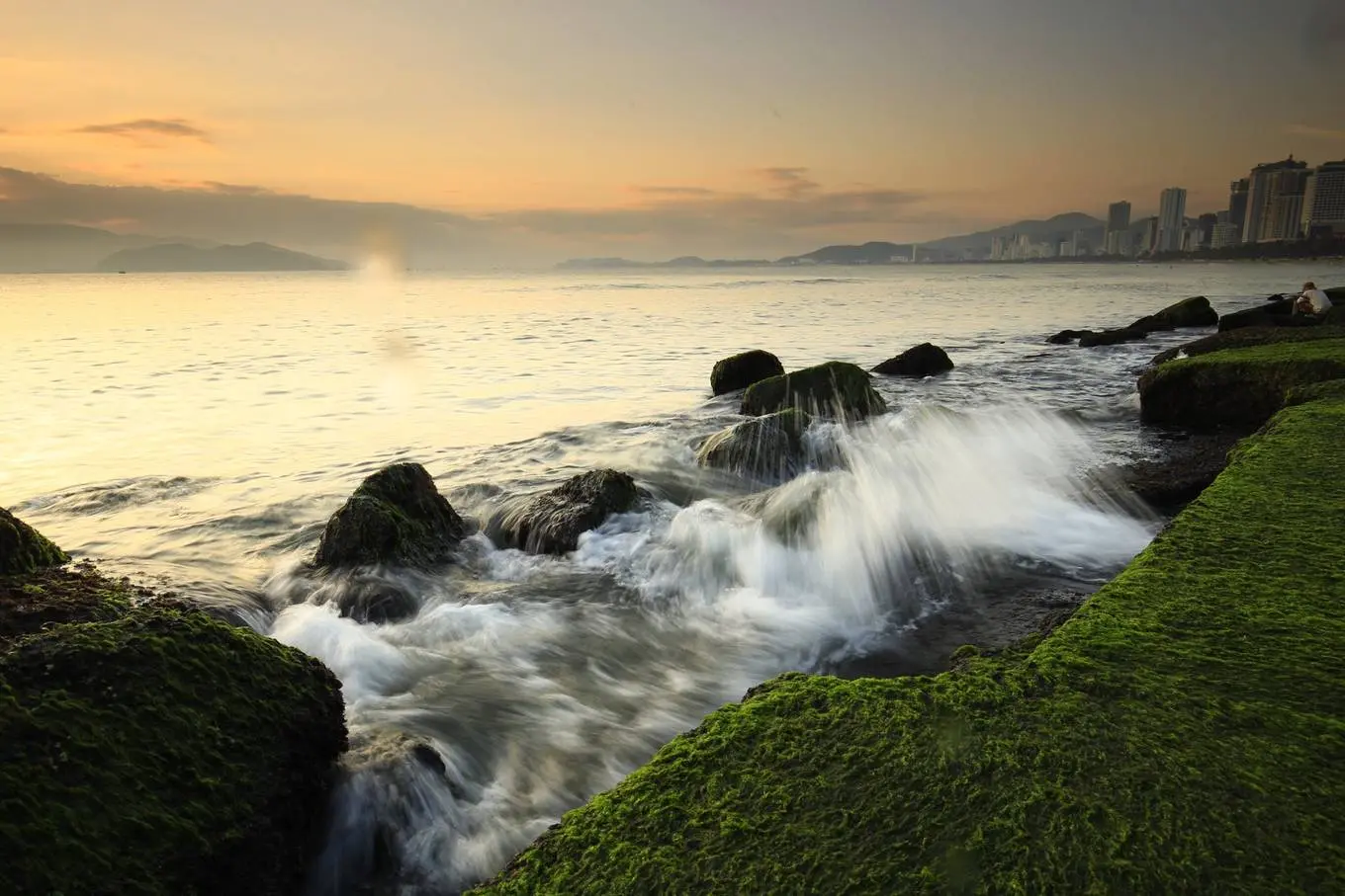 Bãi rêu Nha Trang – Vẻ đẹp mê hoặc của thiên nhiên hoang sơ