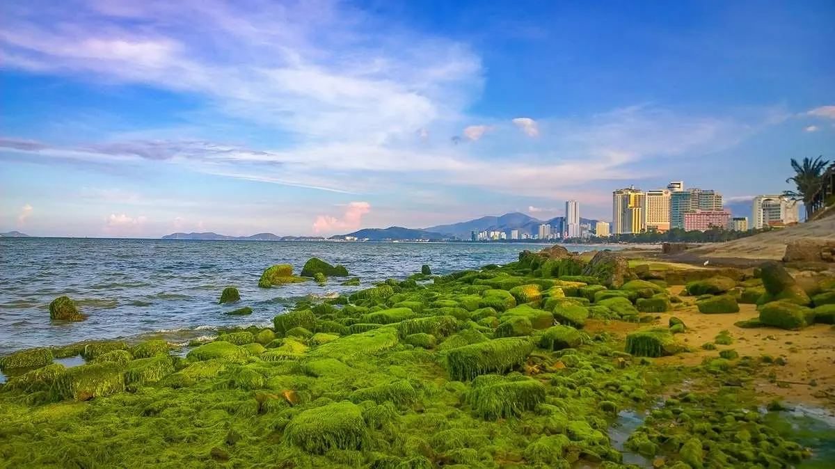 B&atilde;i r&ecirc;u Nha Trang &ndash; Vẻ đẹp m&ecirc; hoặc của thi&ecirc;n nhi&ecirc;n hoang sơ 4