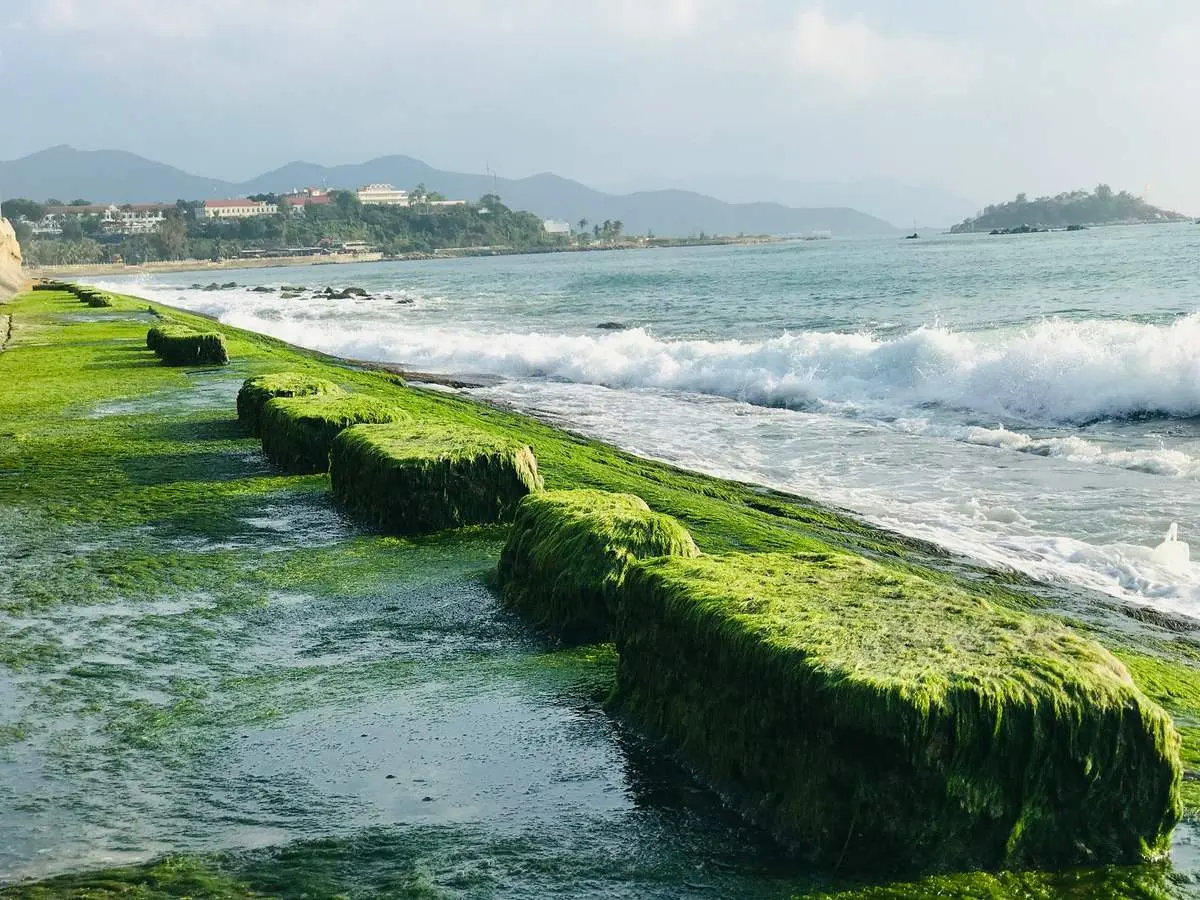 B&atilde;i r&ecirc;u Nha Trang &ndash; Vẻ đẹp m&ecirc; hoặc của thi&ecirc;n nhi&ecirc;n hoang sơ 5