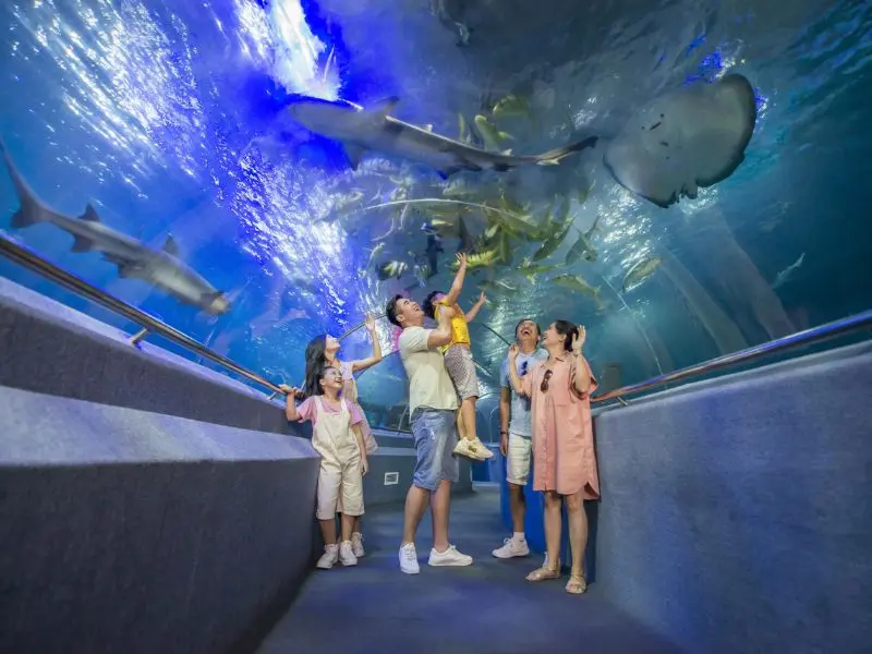 Bản đồ Vinpearl Nha Trang từ A-Z: Ăn uống, vui chơi, nghỉ ngơi 8