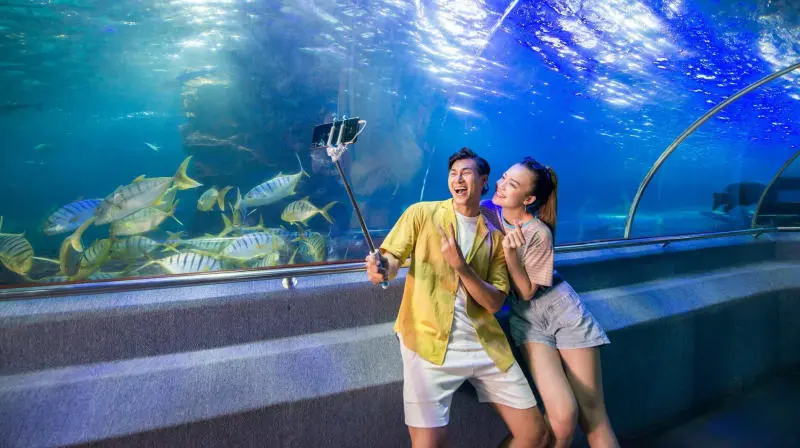 Đến Thủy cung Vinpearl Nha Trang kh&aacute;m ph&aacute; thế giới đại dương 7