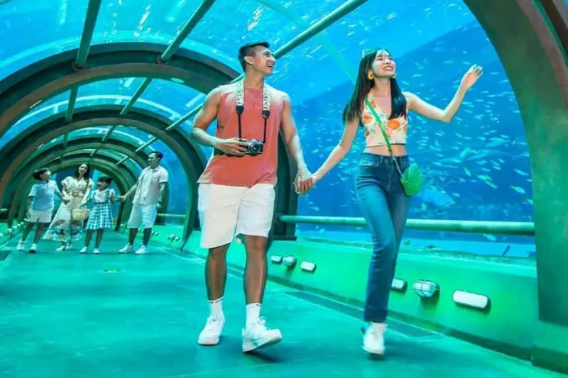 Đến Thủy cung Vinpearl Nha Trang kh&aacute;m ph&aacute; thế giới đại dương 8
