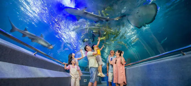 Đến Thủy cung Vinpearl Nha Trang kh&aacute;m ph&aacute; thế giới đại dương 2