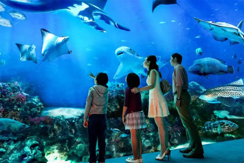 Đến Thủy cung Vinpearl Nha Trang kh&aacute;m ph&aacute; thế giới đại dương 5
