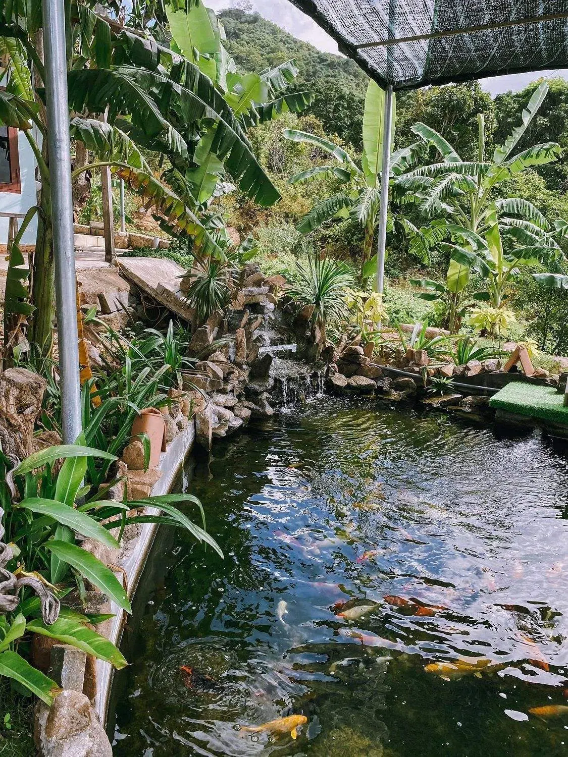Một ch&uacute;t y&ecirc;n b&igrave;nh cho ng&agrave;y đầu năm c&ugrave;ng Cường Quốc Phạm tại Ch&ugrave;a Ba Đảo Nha Trang 15