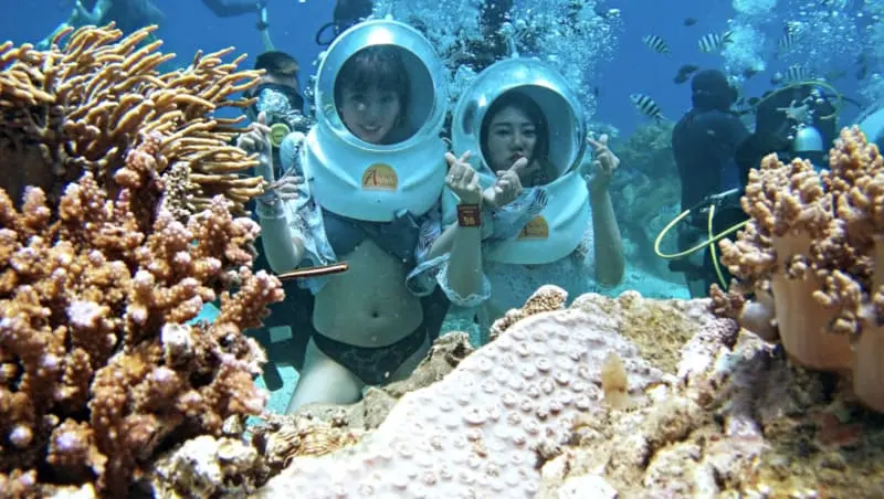 Rẽ s&oacute;ng đến với Vịnh San H&ocirc; Nha Trang chi&ecirc;m ngưỡng thế giới đại dương 5