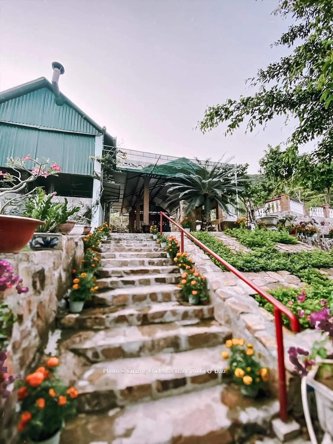 Thanh tịnh một khoảng trời b&igrave;nh y&ecirc;n tại Ch&ugrave;a Ph&aacute;p Sơn Nha Trang c&ugrave;ng Cường Quốc Phạm 17