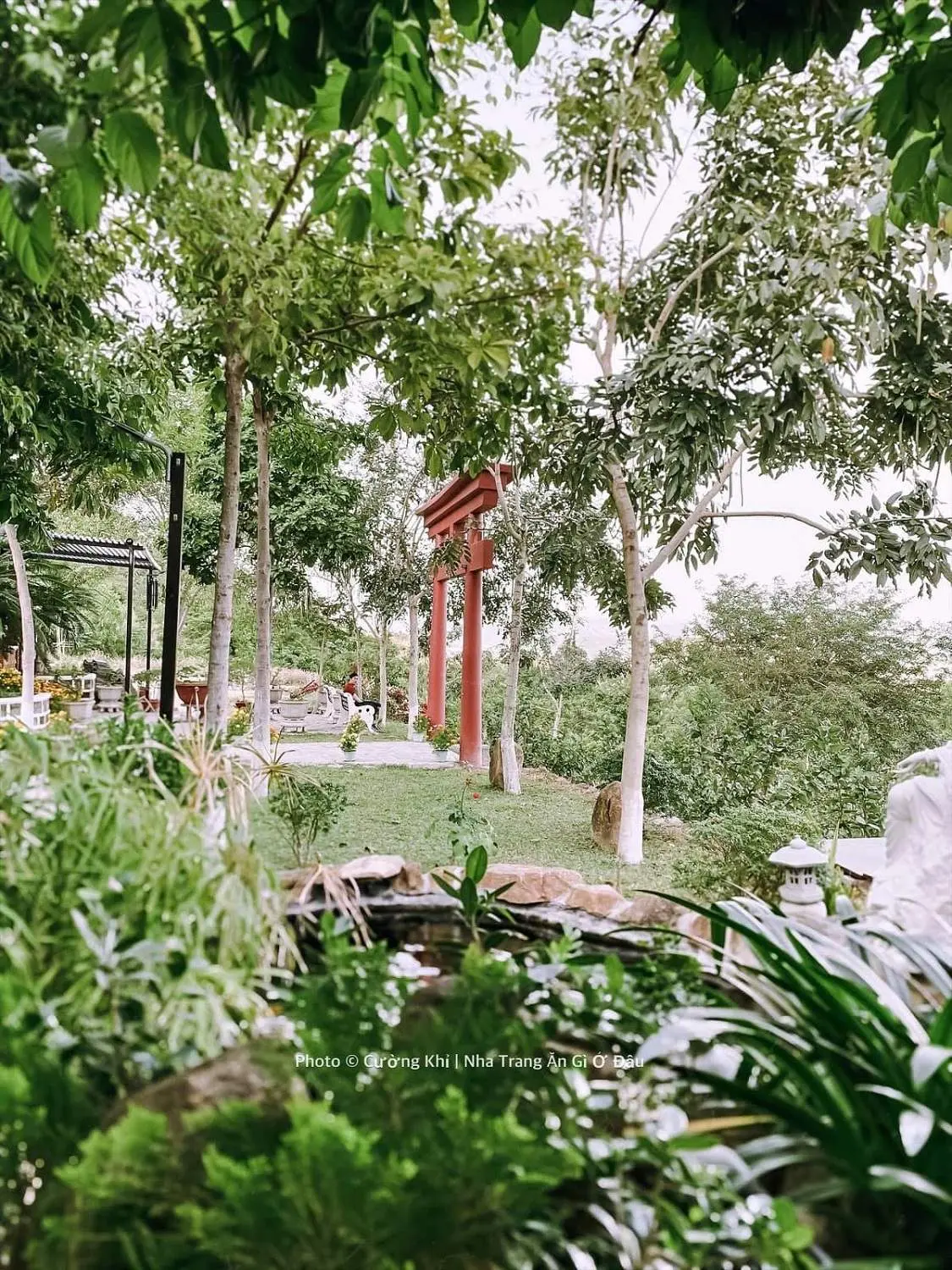 Thanh tịnh một khoảng trời b&igrave;nh y&ecirc;n tại Ch&ugrave;a Ph&aacute;p Sơn Nha Trang c&ugrave;ng Cường Quốc Phạm 19