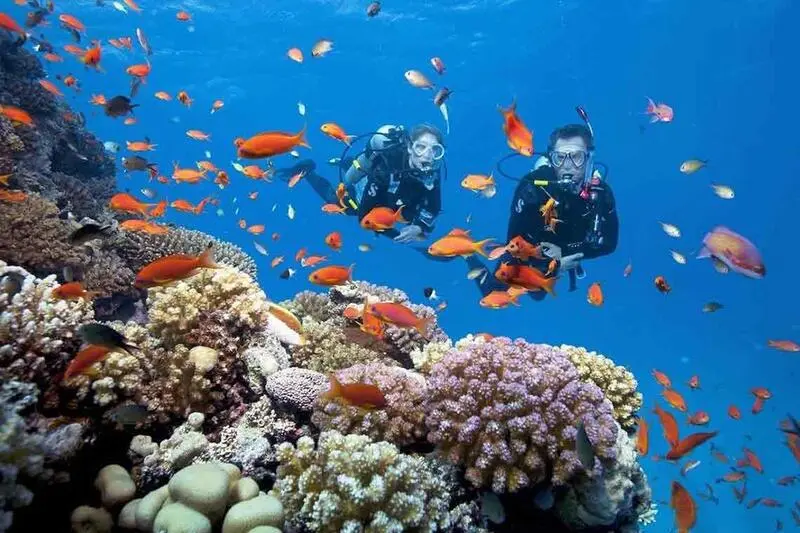 Top 4 địa điểm lặn biển Nha Trang mang đến thế giới đại dương diễm lệ 4