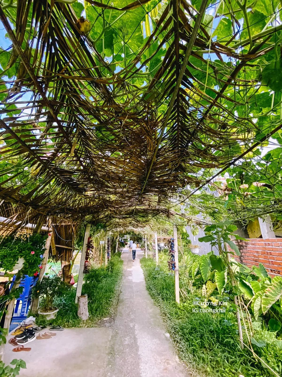 Về Nha Trang c&acirc;u c&aacute; giải tr&iacute; Thủy Tr&uacute;c c&ugrave;ng blogger Cường Khỉ, c&oacute; g&igrave; th&uacute; vị? 6