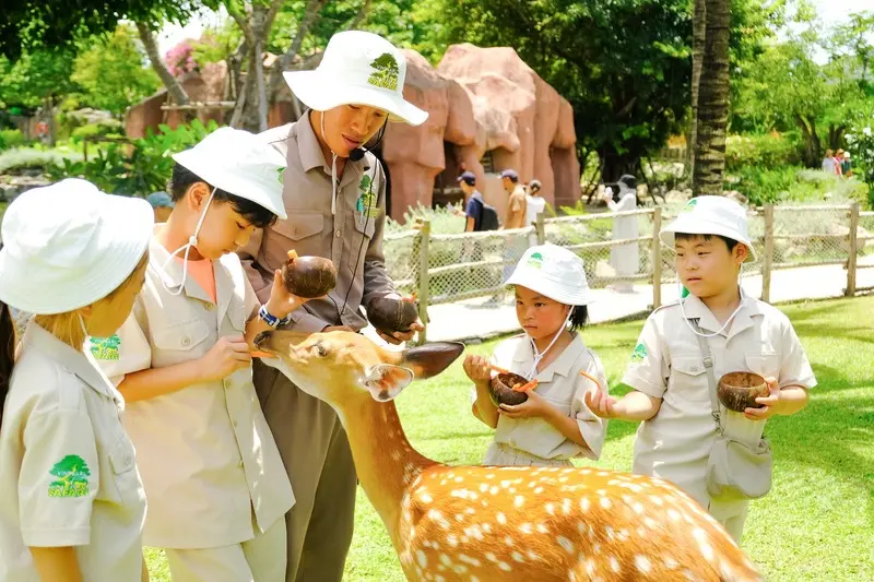 Lịch tr&igrave;nh Nha Trang 3 ng&agrave;y 2 đ&ecirc;m: H&agrave;nh tr&igrave;nh chinh phục thi&ecirc;n đường biển 4