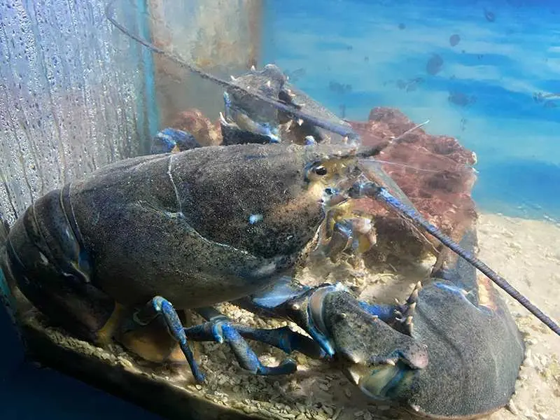 Nửa ng&agrave;y kh&aacute;m ph&aacute; Nha Trang với c&aacute;c điểm đến th&uacute; vị 7