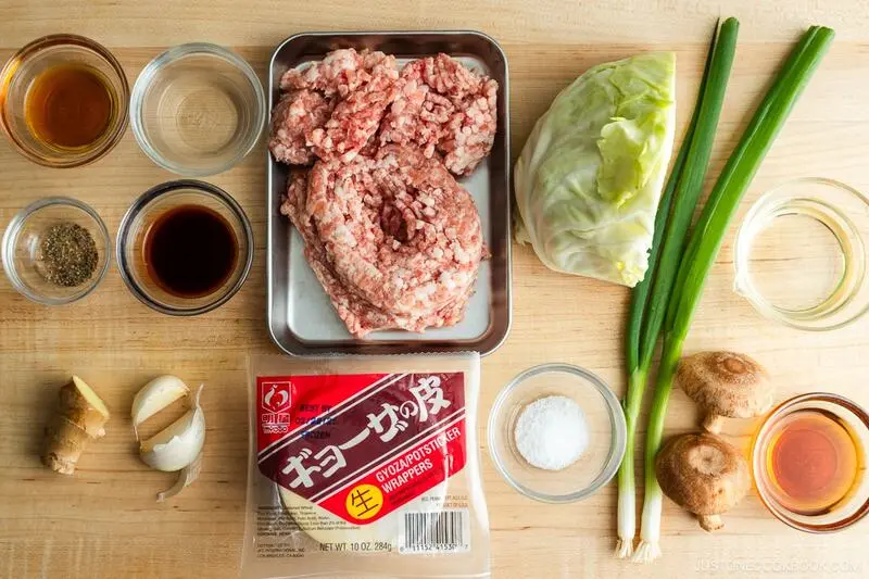 Gyoza: Phiên bản há cảo Nhật Bản và cách làm ngon chuẩn vị 8