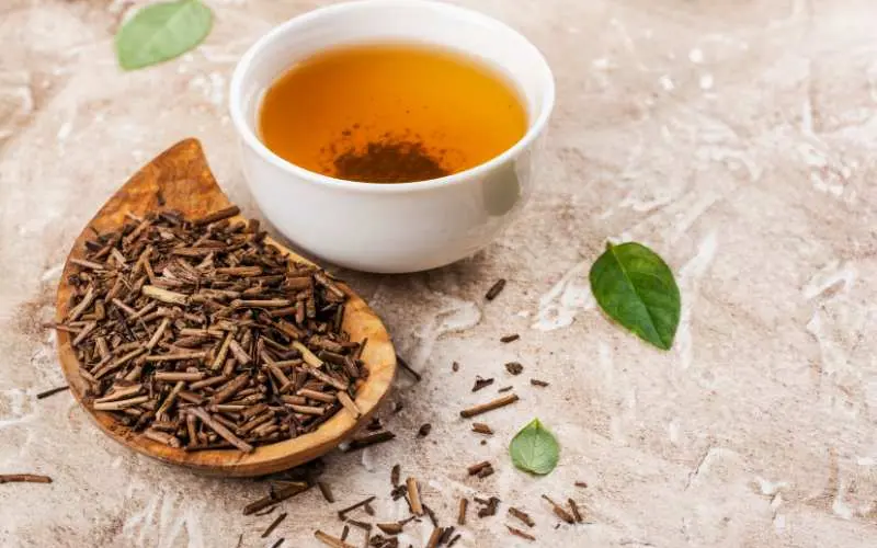 N&eacute;t đặc biệt của tr&agrave; Hojicha: Hương vị kh&oacute;i đến từ Nhật Bản 9
