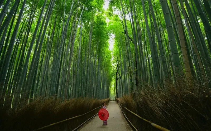 Arashiyama nơi tụ hội những vi&ecirc;n ngọc tự nhi&ecirc;n tại Kyoto 4