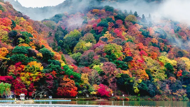 Arashiyama nơi tụ hội những vi&ecirc;n ngọc tự nhi&ecirc;n tại Kyoto 3