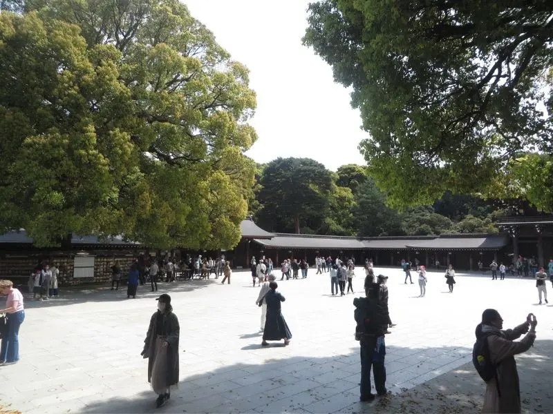 Dạo bước quanh ng&ocirc;i đền Meiji Jingu đầy linh thi&ecirc;ng của Nhật Bản 4