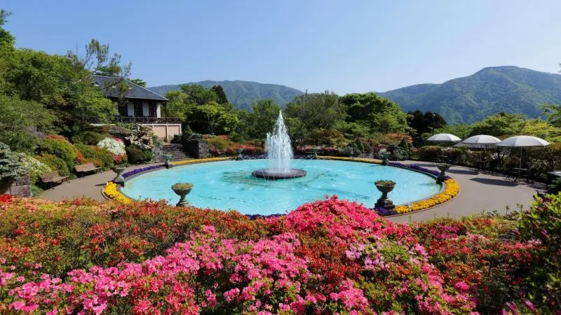 Du lịch Hakone: Vẻ đẹp mộc mạc ẩn m&igrave;nh dưới ch&acirc;n d&atilde;y Ph&uacute; Sĩ 10