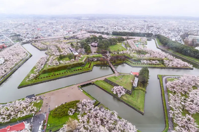 Du lịch Hokkaido kh&aacute;m ph&aacute; vẻ đẹp miền Bắc tuyết trắng 2