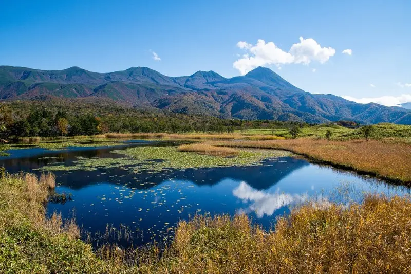Du lịch Hokkaido kh&aacute;m ph&aacute; vẻ đẹp miền Bắc tuyết trắng 6