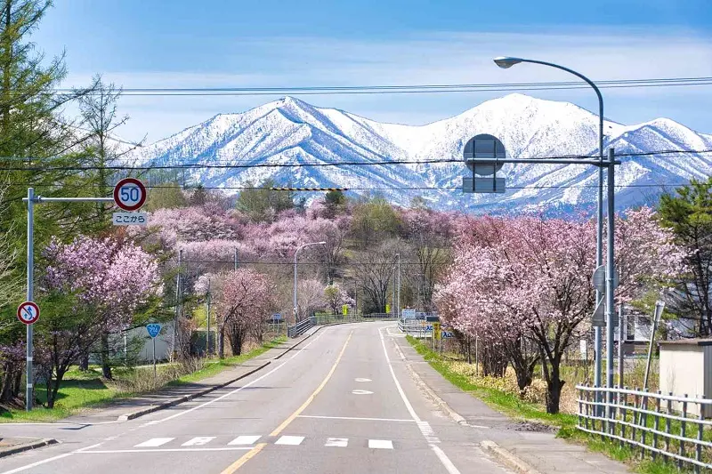 Du lịch Hokkaido kh&aacute;m ph&aacute; vẻ đẹp miền Bắc tuyết trắng 17